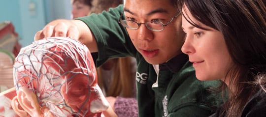 College of Medicine banner